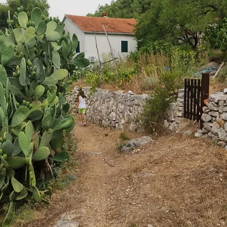 Lejlighed Stiniva Hvar Brusje